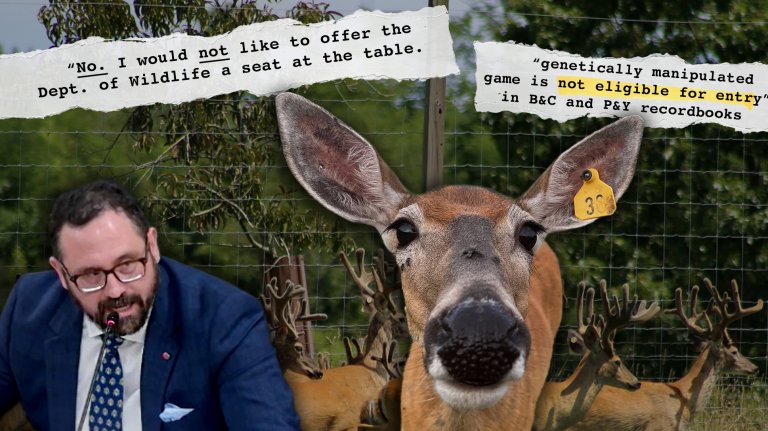 A composite photo of pen-raised deer and an Oklahoma lawmaker.