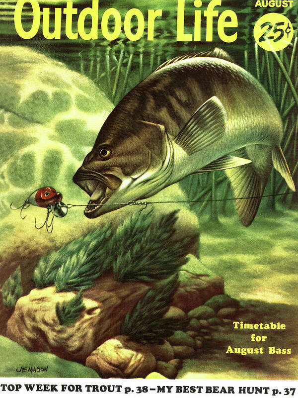 The august 1955 cover of outdoor life