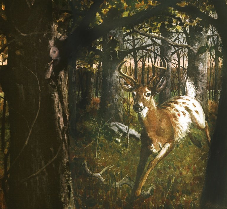A painting of a piebald buck running through the woods with a hunter in the tree behind him.