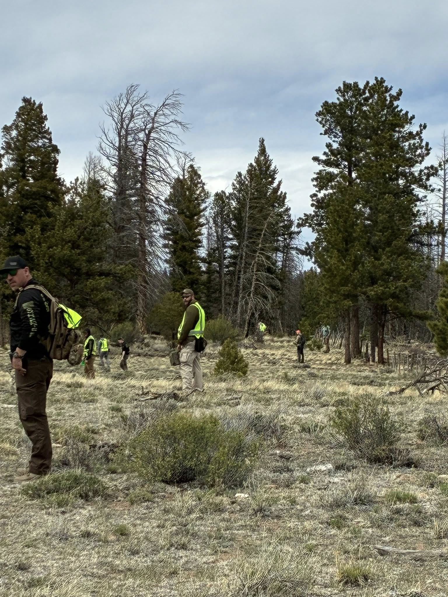 Searchers coming the woods for Kaden Sites.