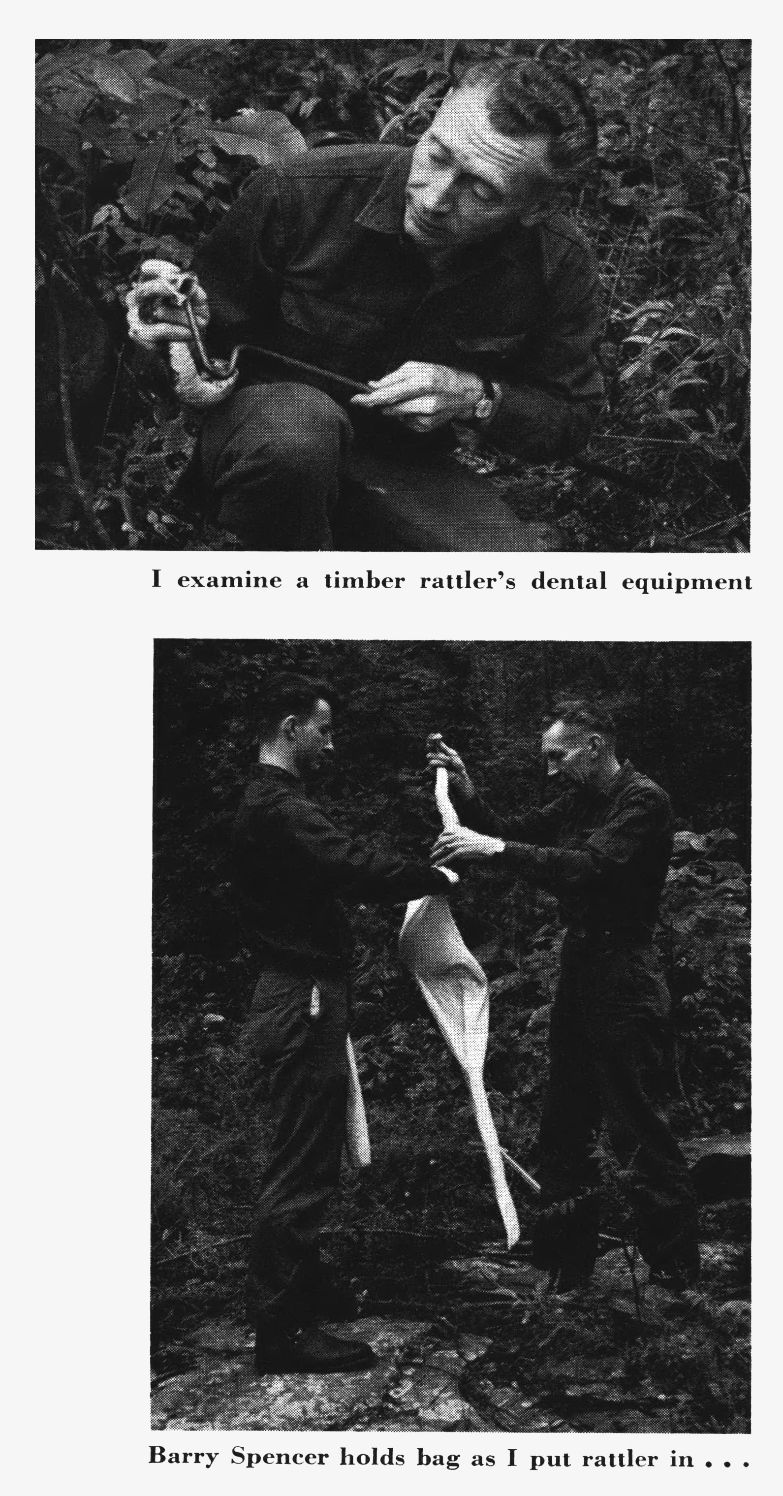 Two black and white photographs.