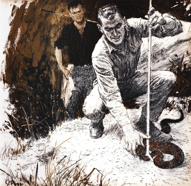 A sketchy illustration of a snake catcher