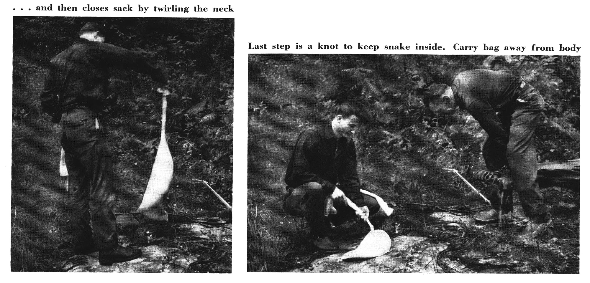 Two black and white photos.