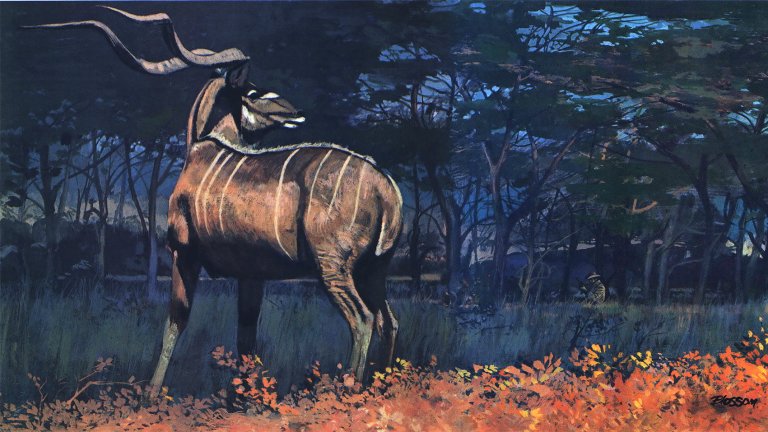An illo of a big kudu bull with a hunter in the background