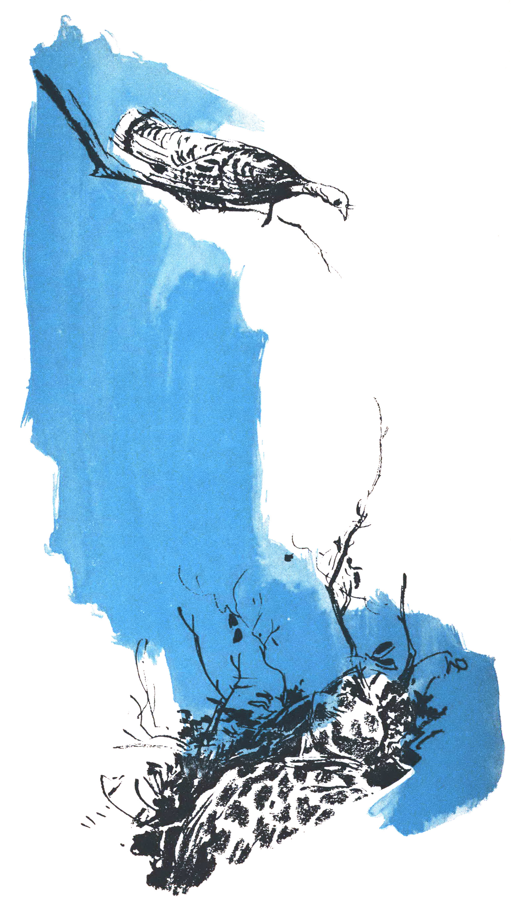 A blue and black illustration of a roosted turkey over a hunter.