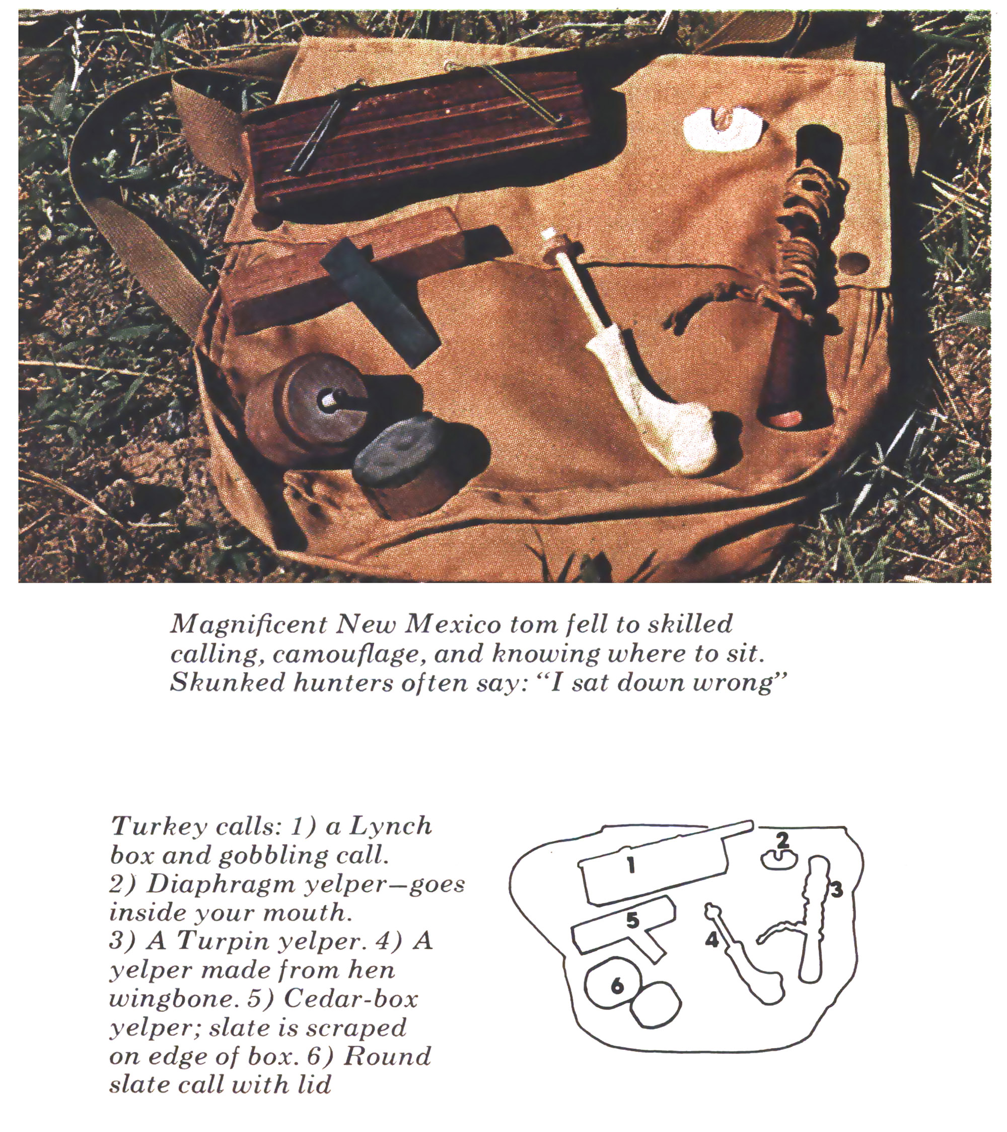 A vintage photo of an old school collection of turkey calls.