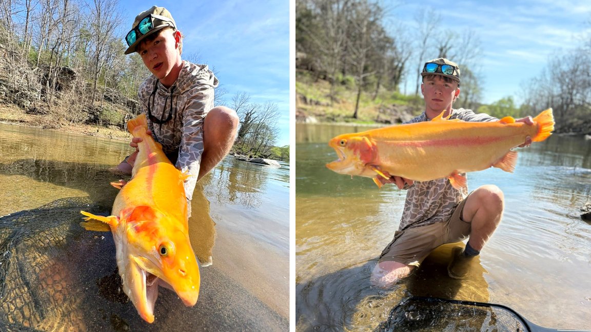 A teenager with a pending state-record trout.