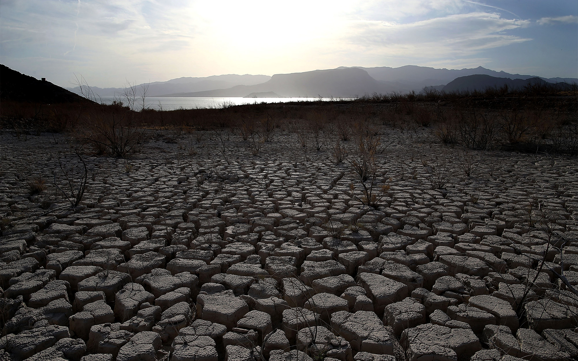 A cracked lakebed on Lake Mead.