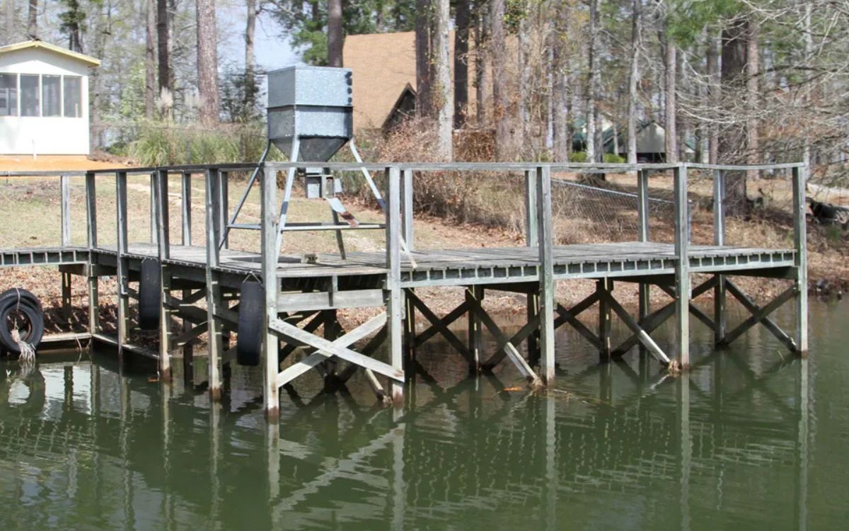 A dock with poles on the side of a lake.