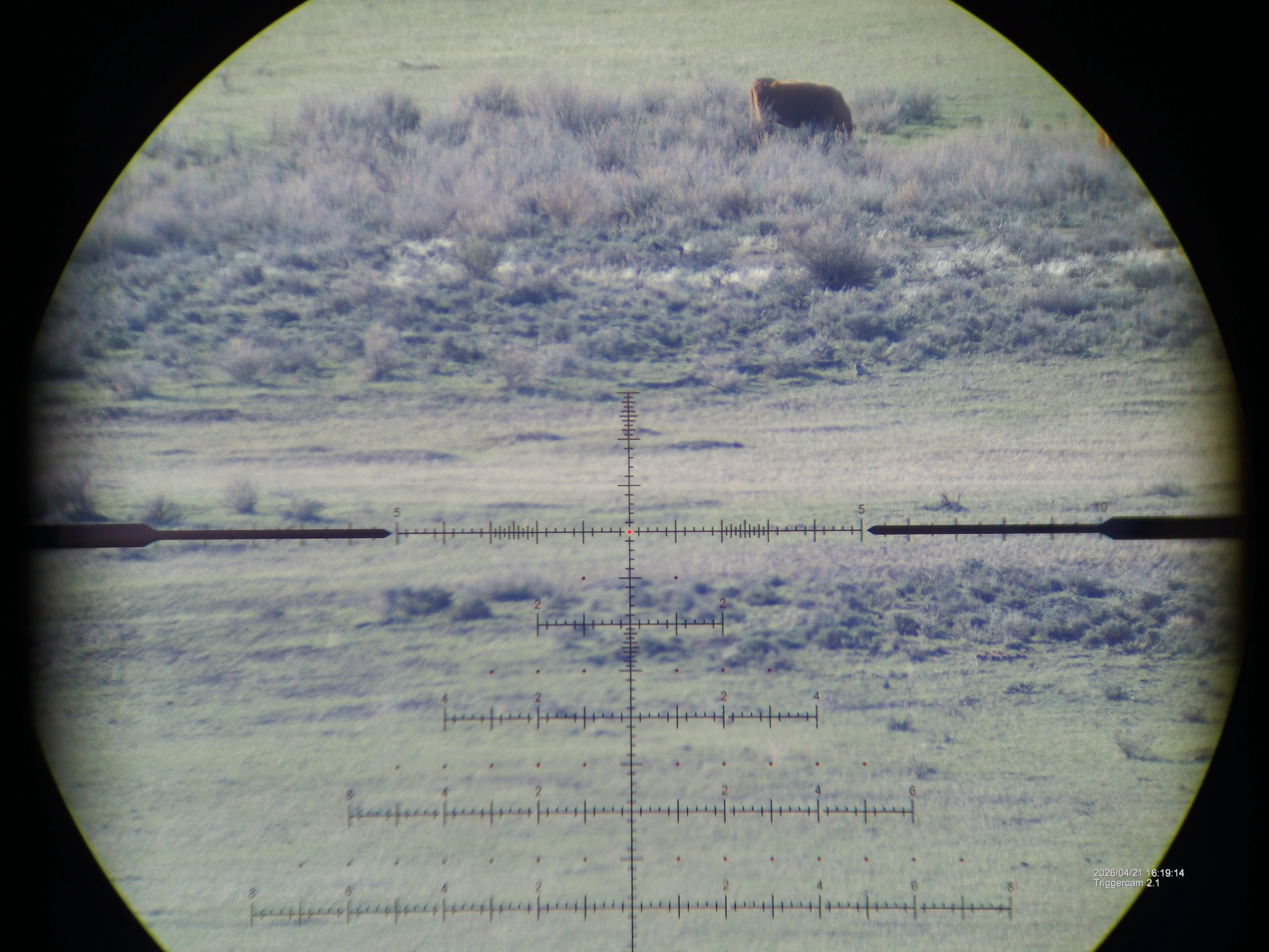COMPETITION- AND HUNT-READY RETICLES