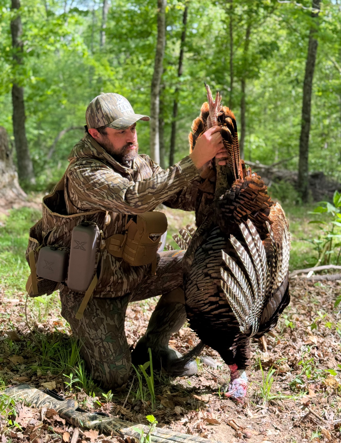 late season turkey hunting