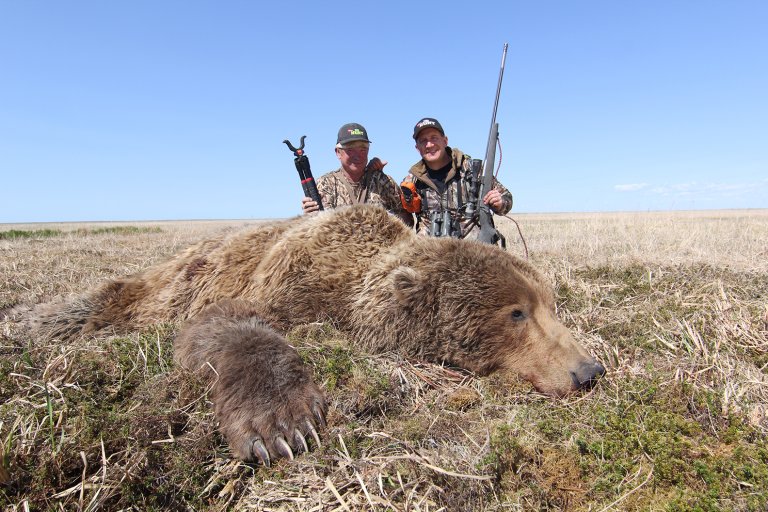 brown bear hunt