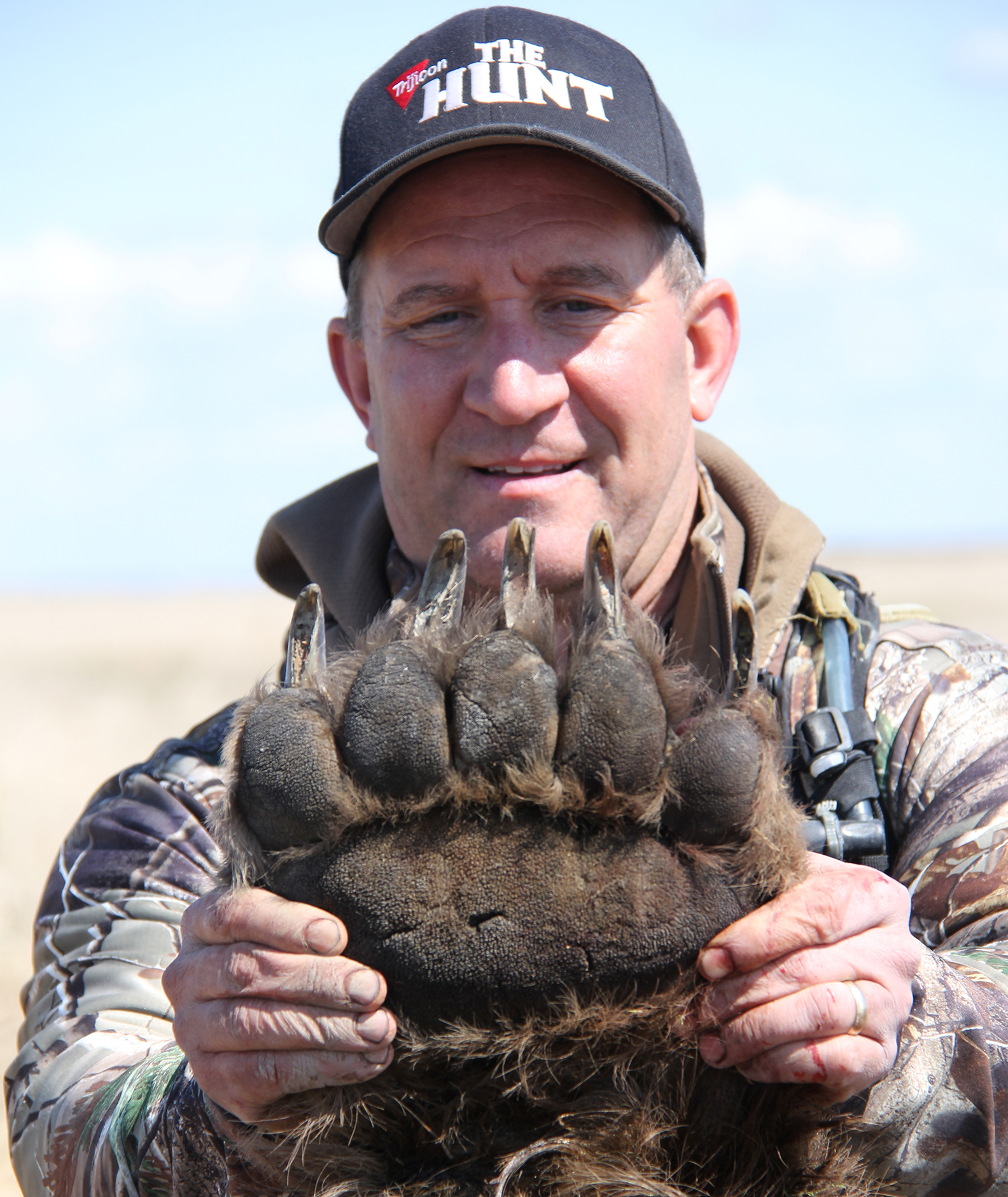brown bear hunt