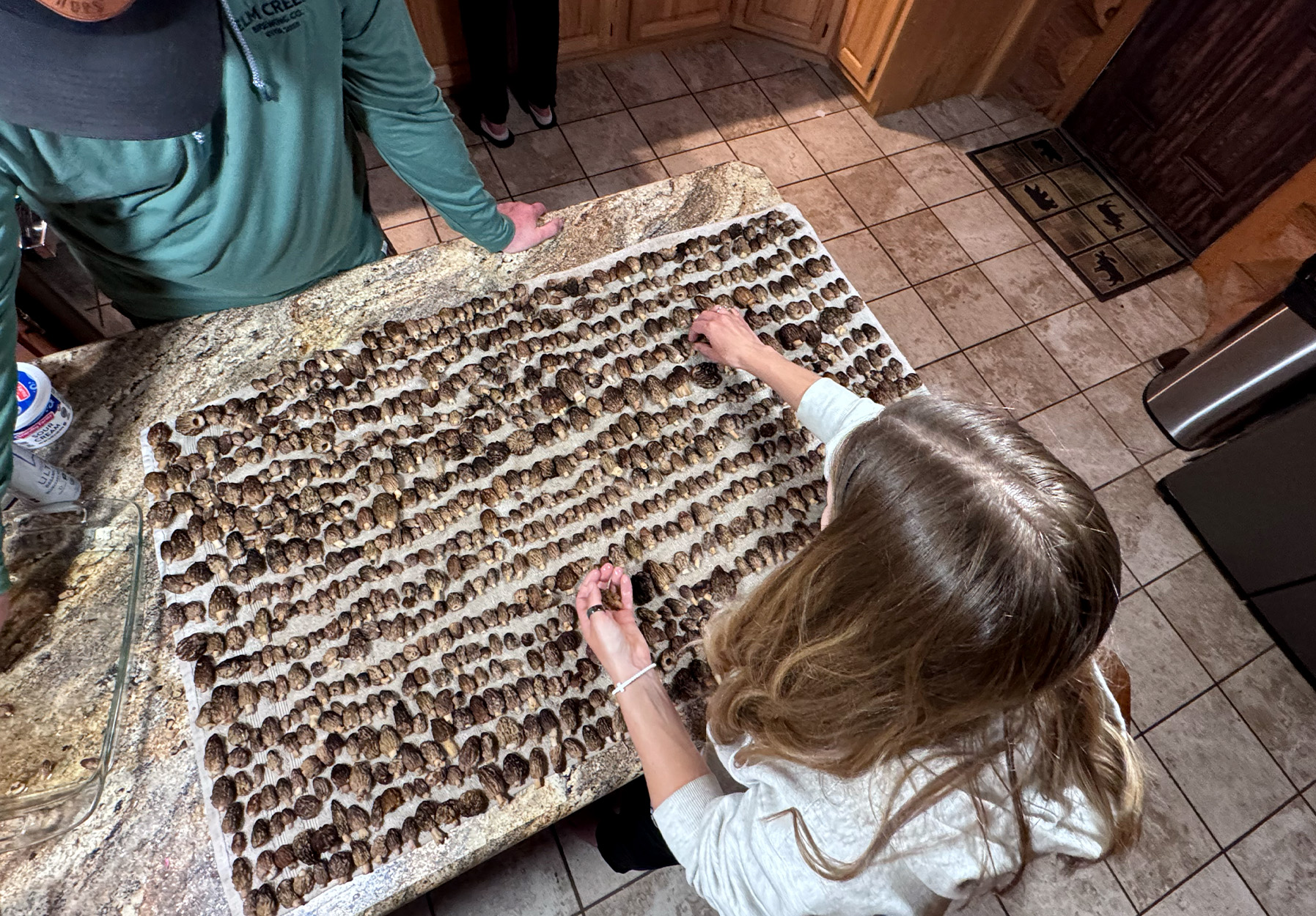 A young forager looks through a haul of morel mushrooms.
