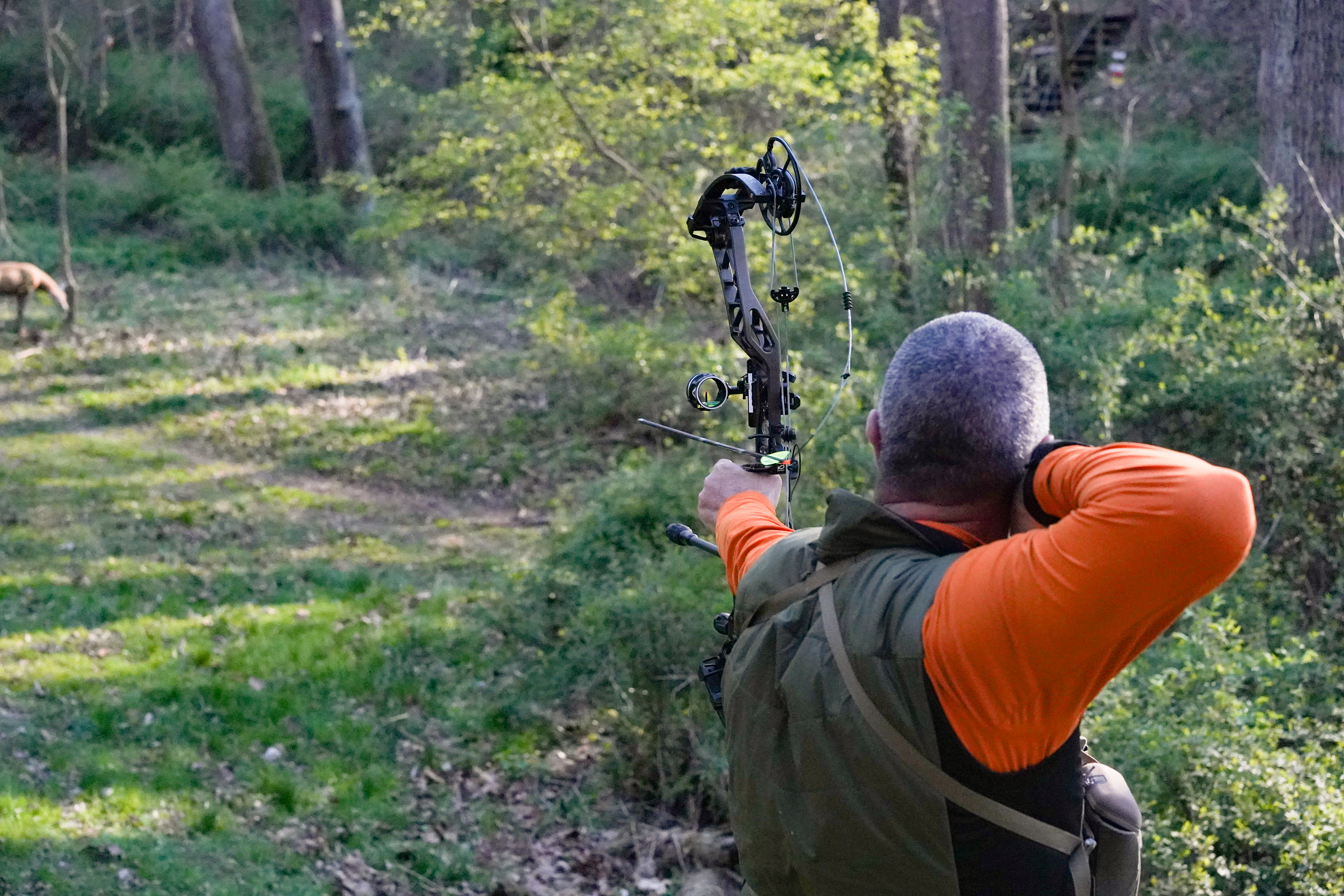 bow testing