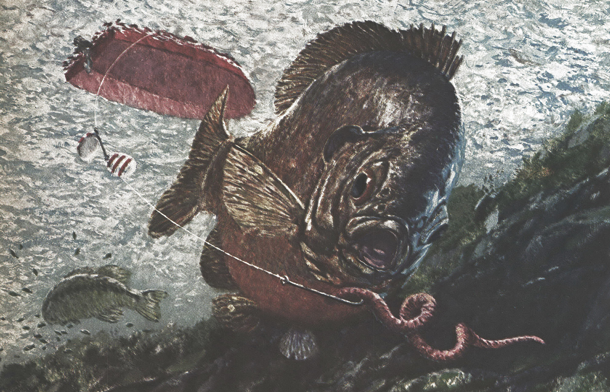 An illustration of a bluegill going for a worm.