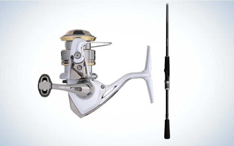 Best budget spinning combo
