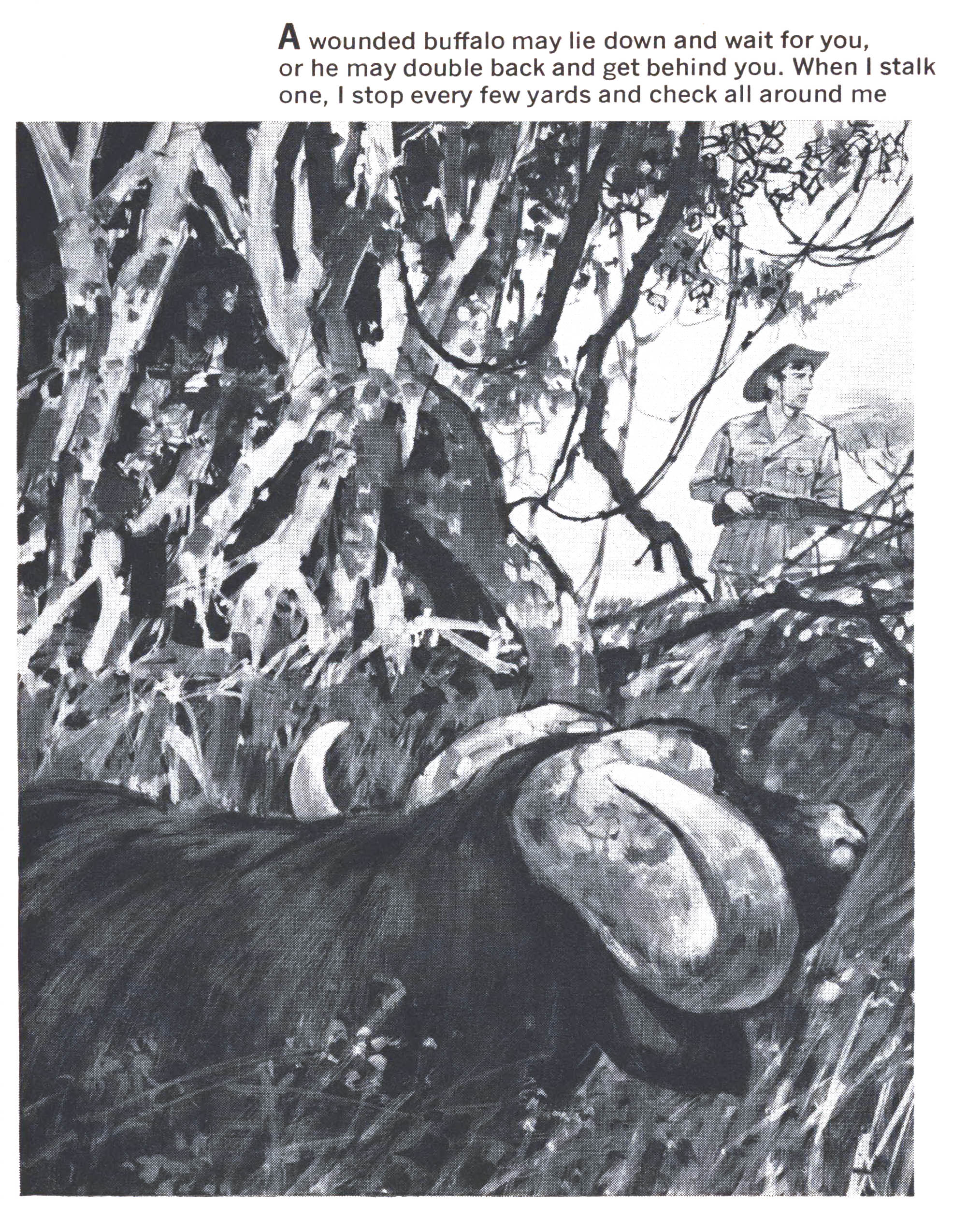 A black and white illustration of a hunter looking for a cape buffalo.