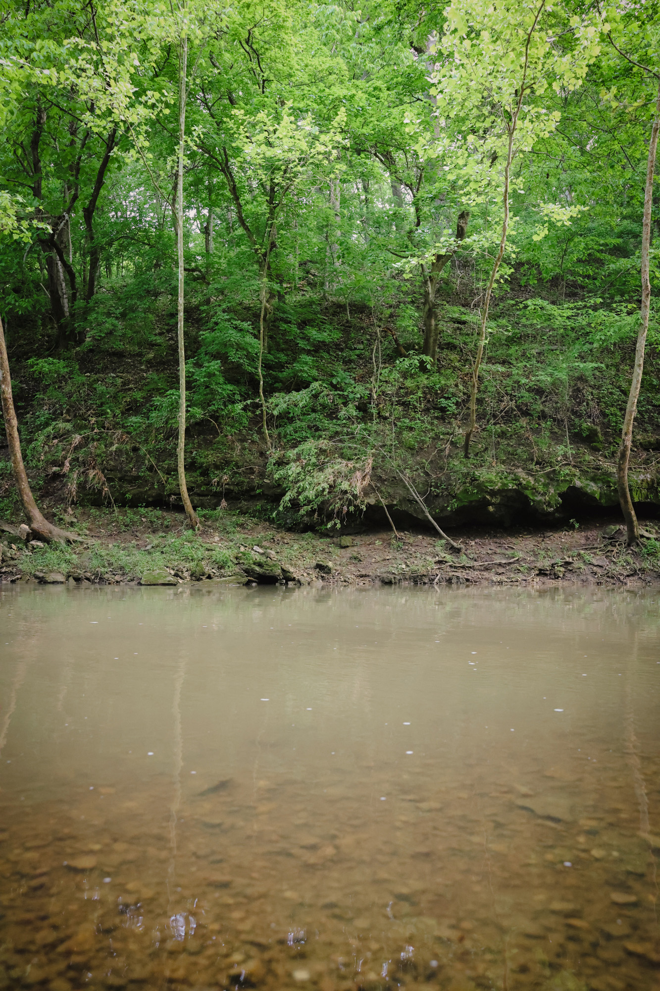 A creekbed