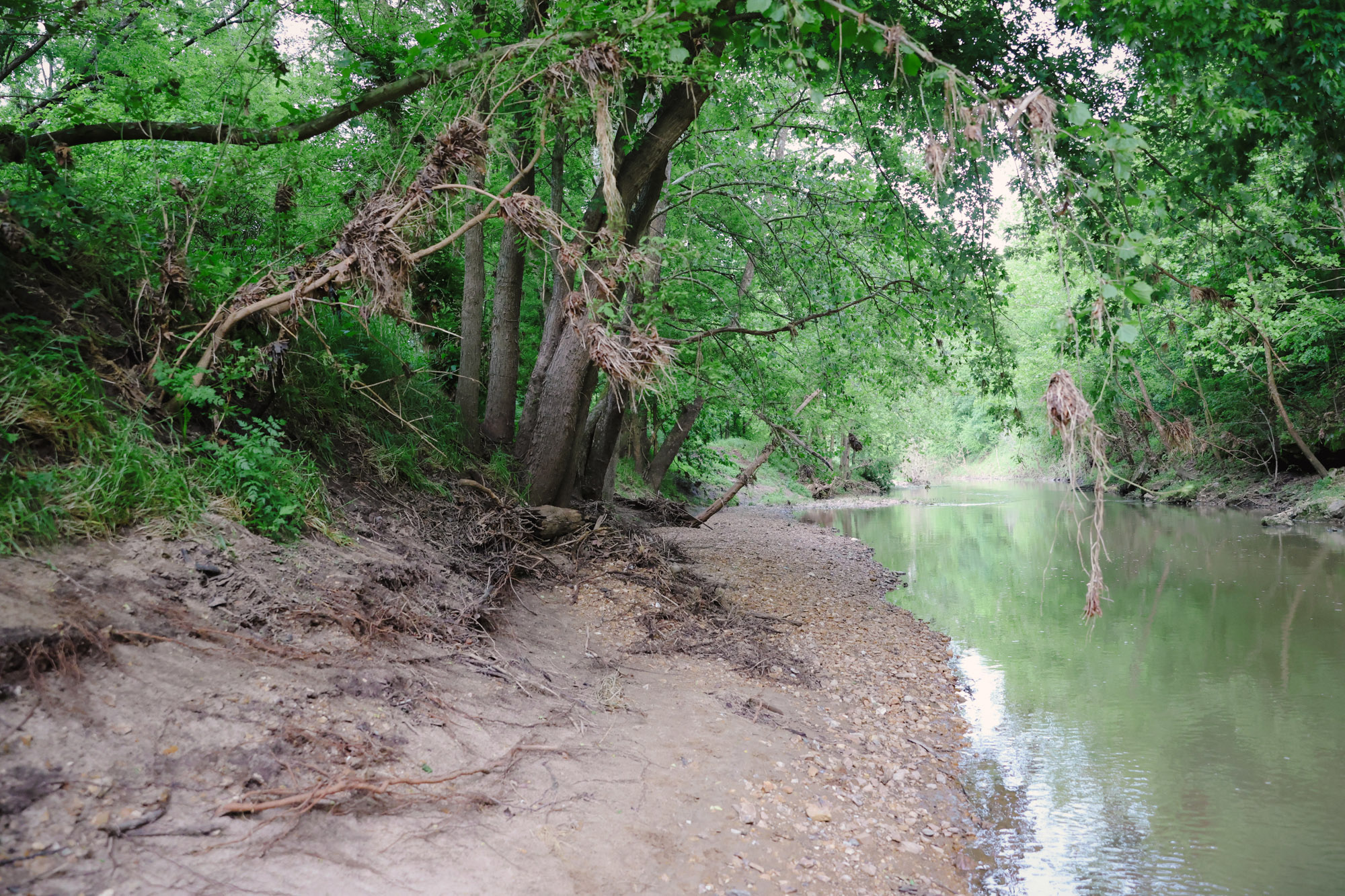 A creek bank in Missouri.