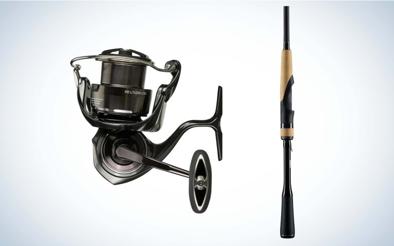 Daiwa Certate and Expride