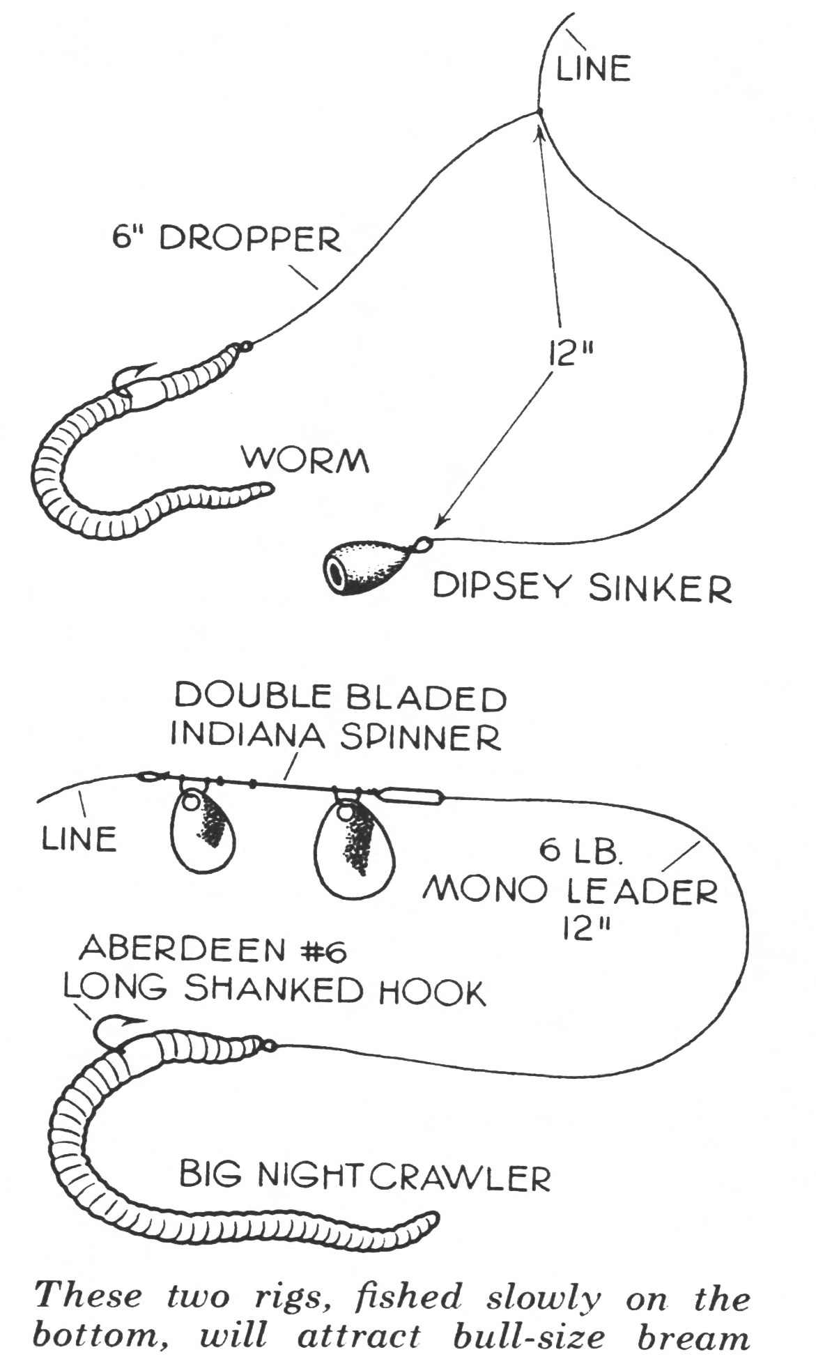 an illustration of a rig for bluegill.