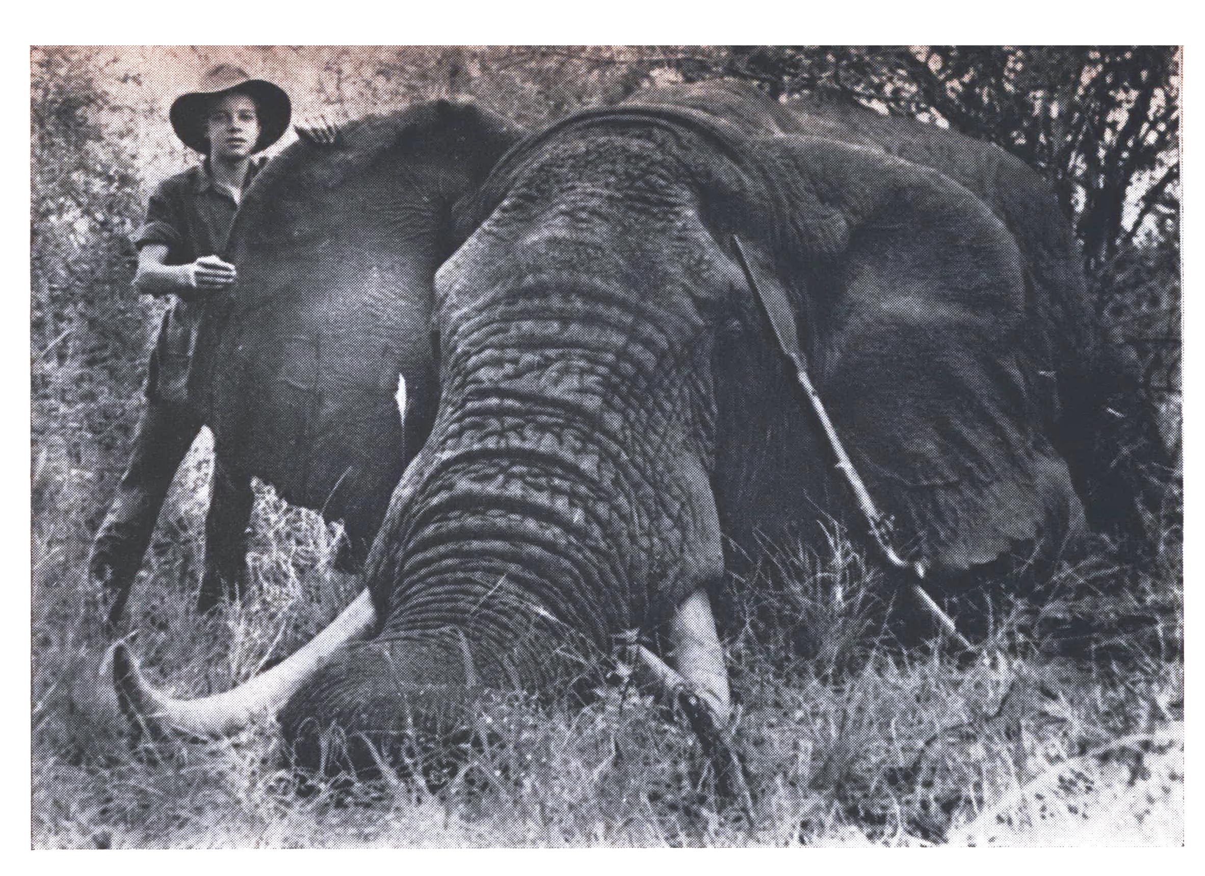 A black and white photo of a young man with an elephant.
