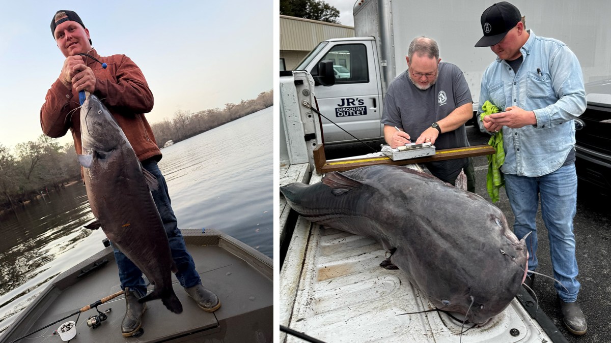 ‘Shocked at What We Caught.’ Florida Fisherman Pulls in a New State-Record Catfish on His Home River