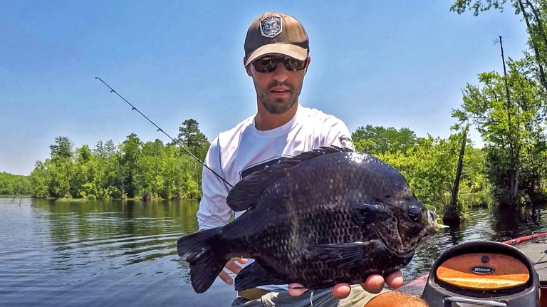 A man holds up a giant bluegill.