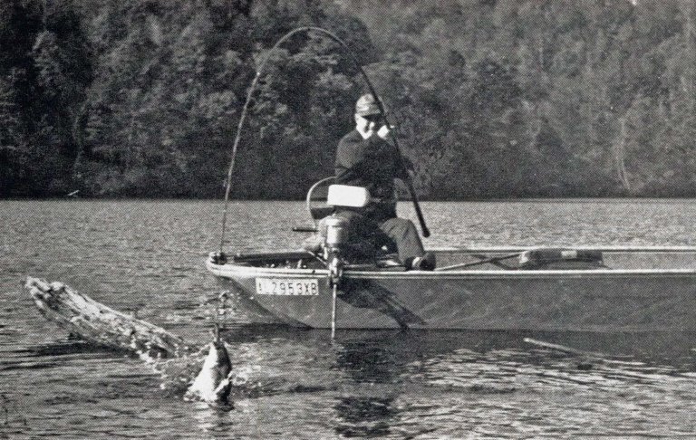 jiggerpole fishing
