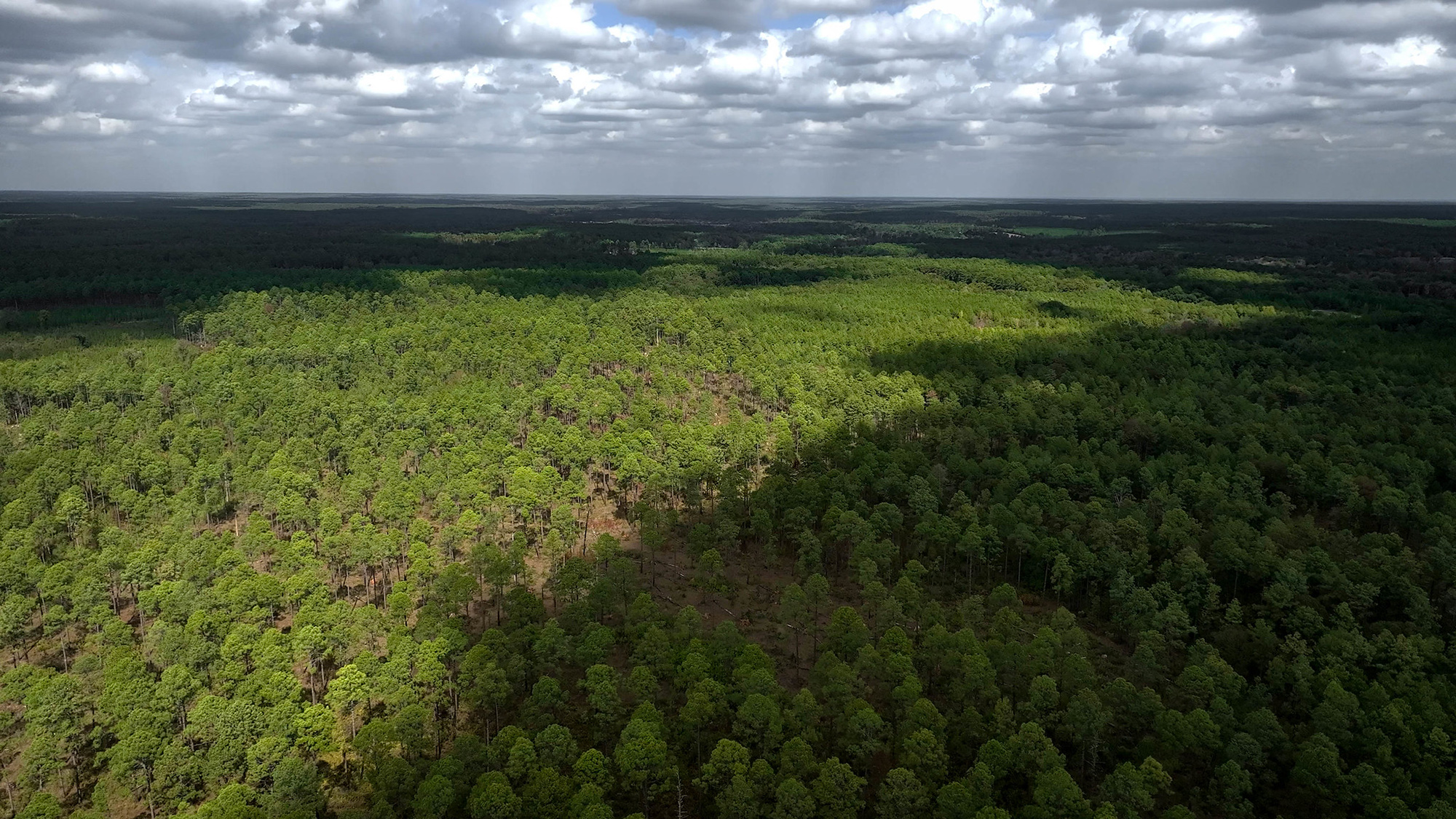 An aerial view of the Kisatchie.