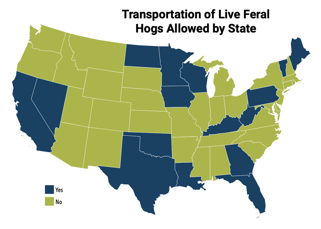 Maps showing feral hog transportation