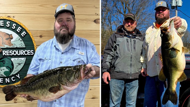 The new Tennessee state record largemouth bass