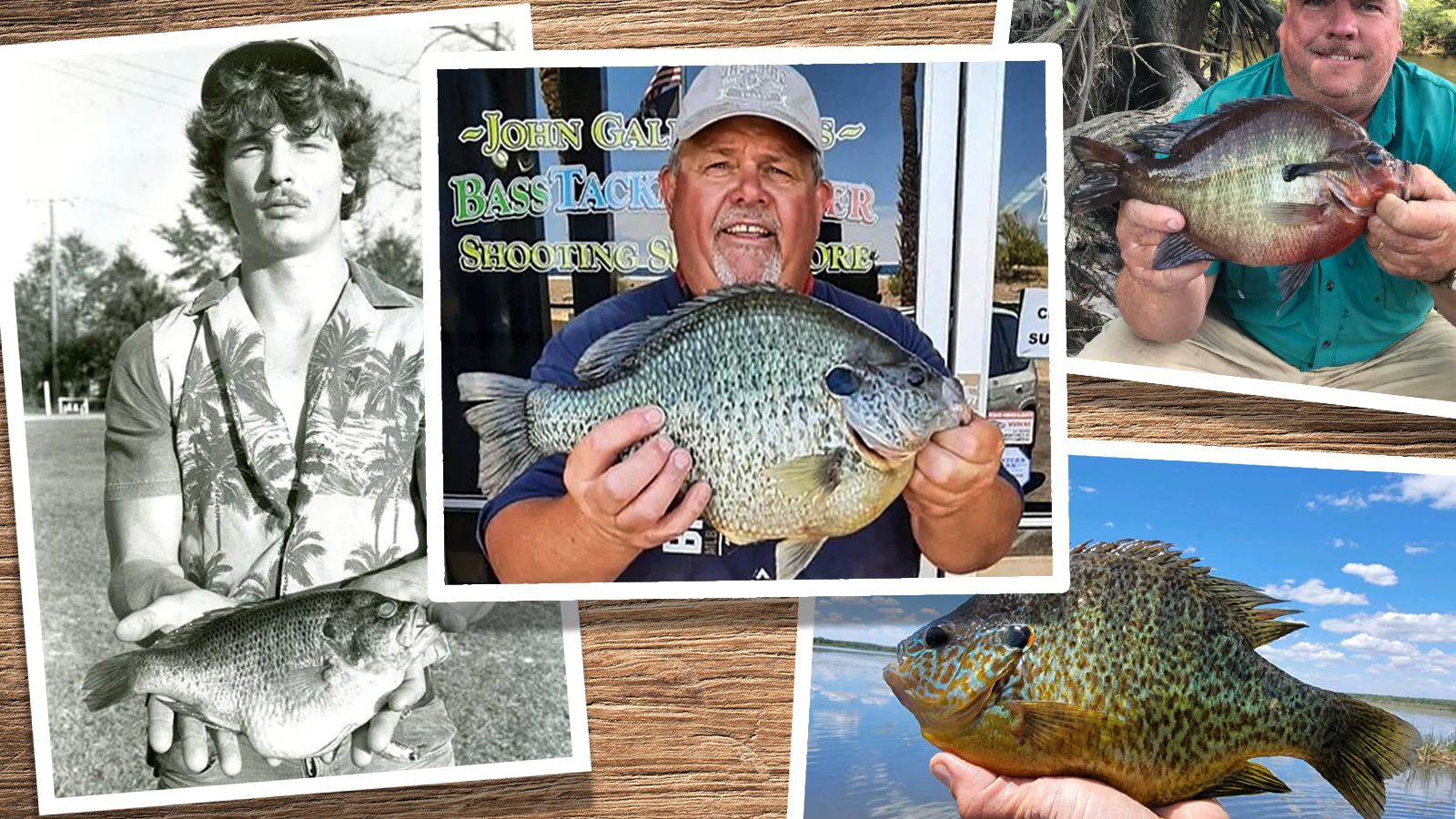 a collection of record panfish images