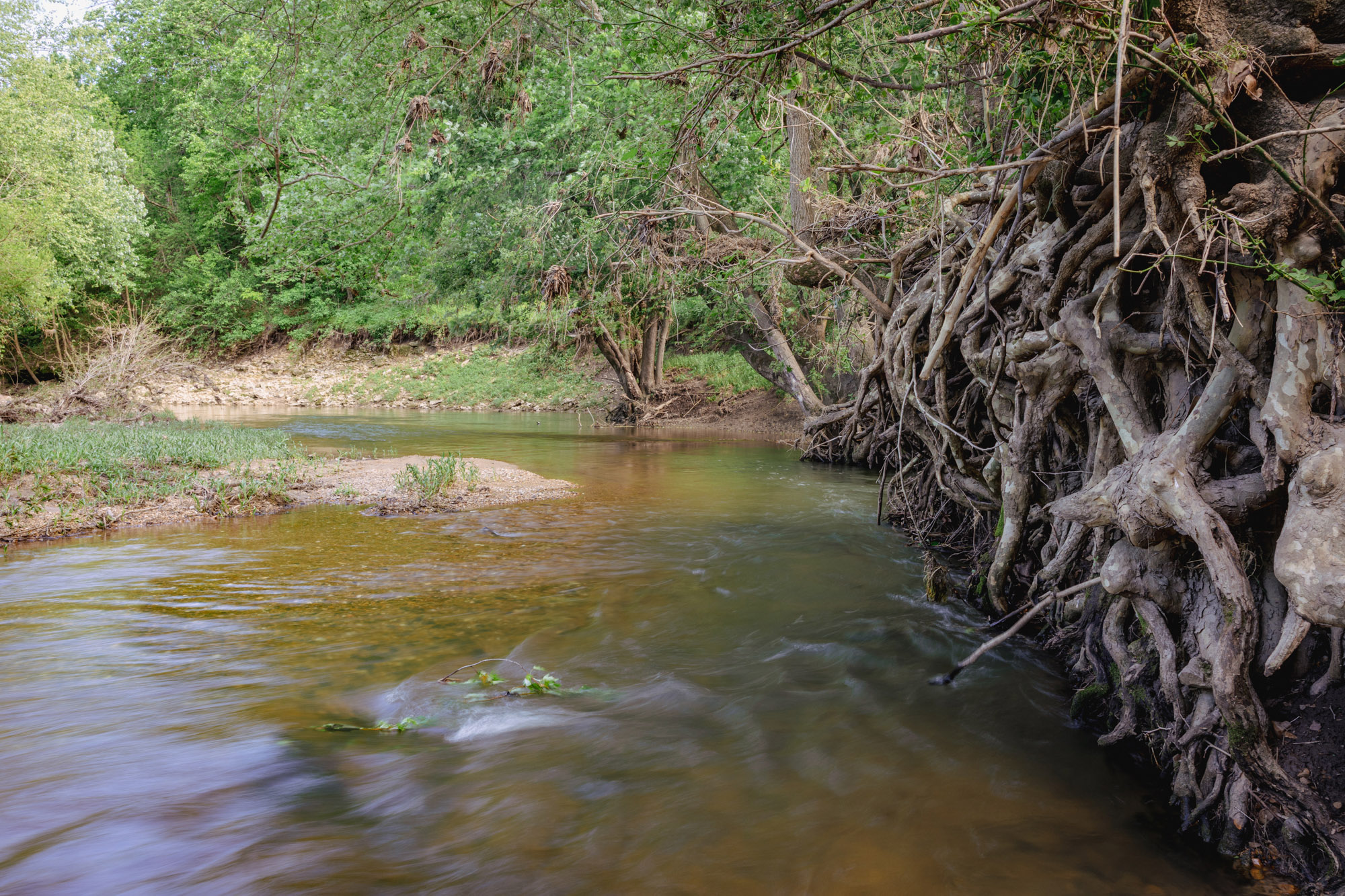 Water rushing by creek