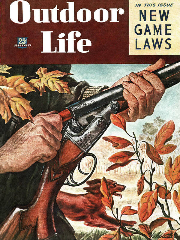 The Sept. 1946 issue of Outdoor Life