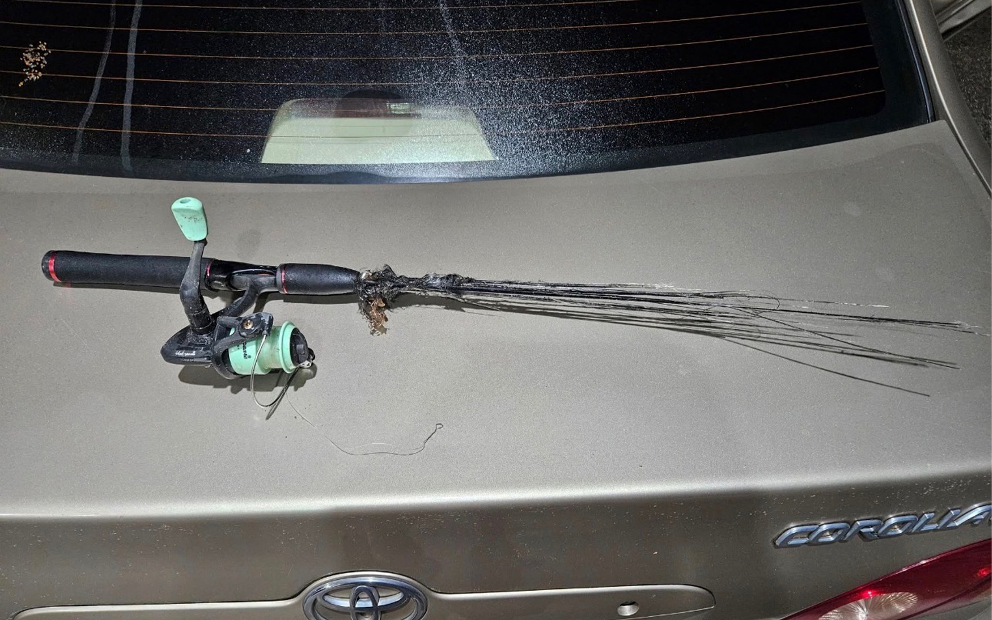 A fishing rod that was struck by lightning.