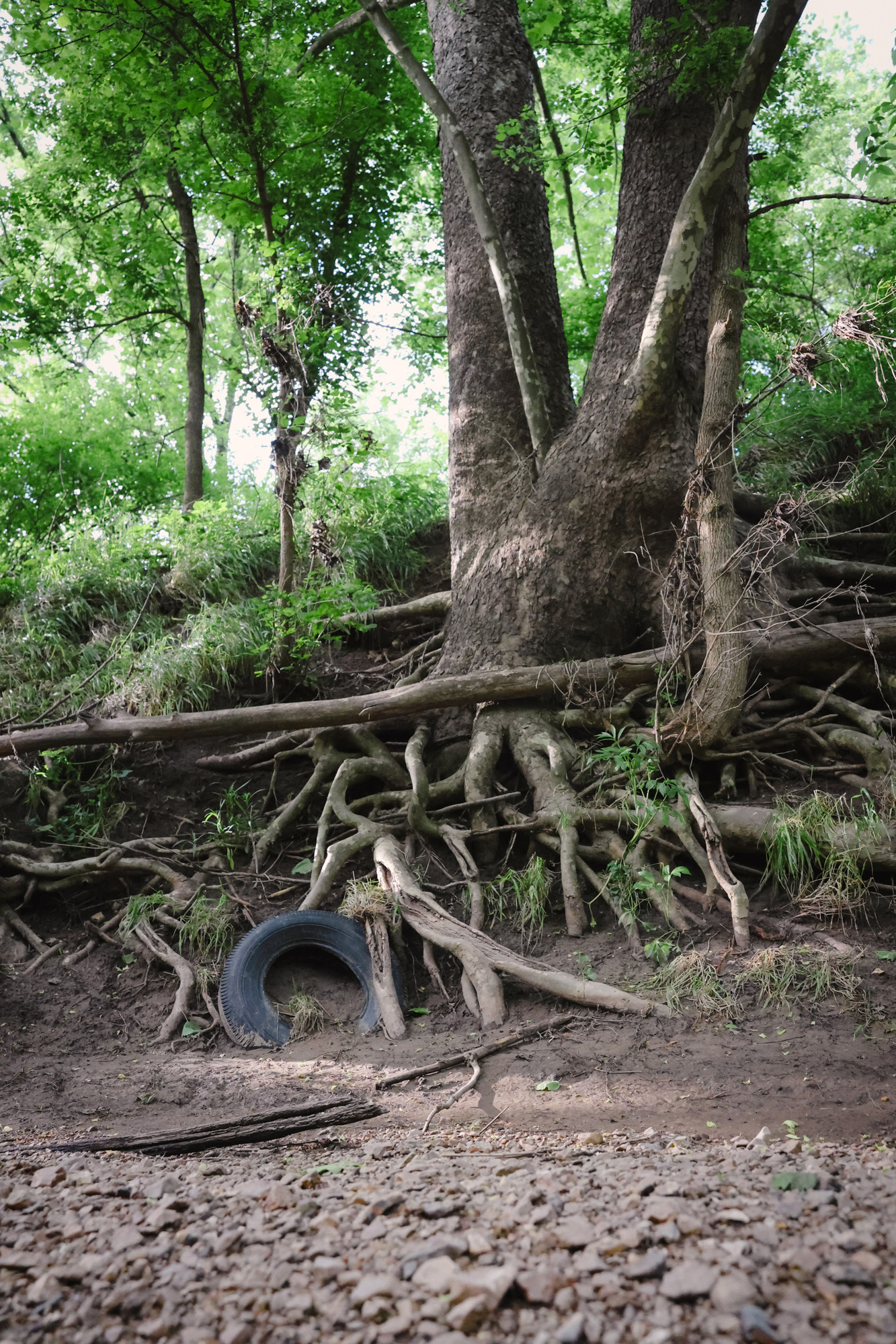 A tire embedded in the dirt.