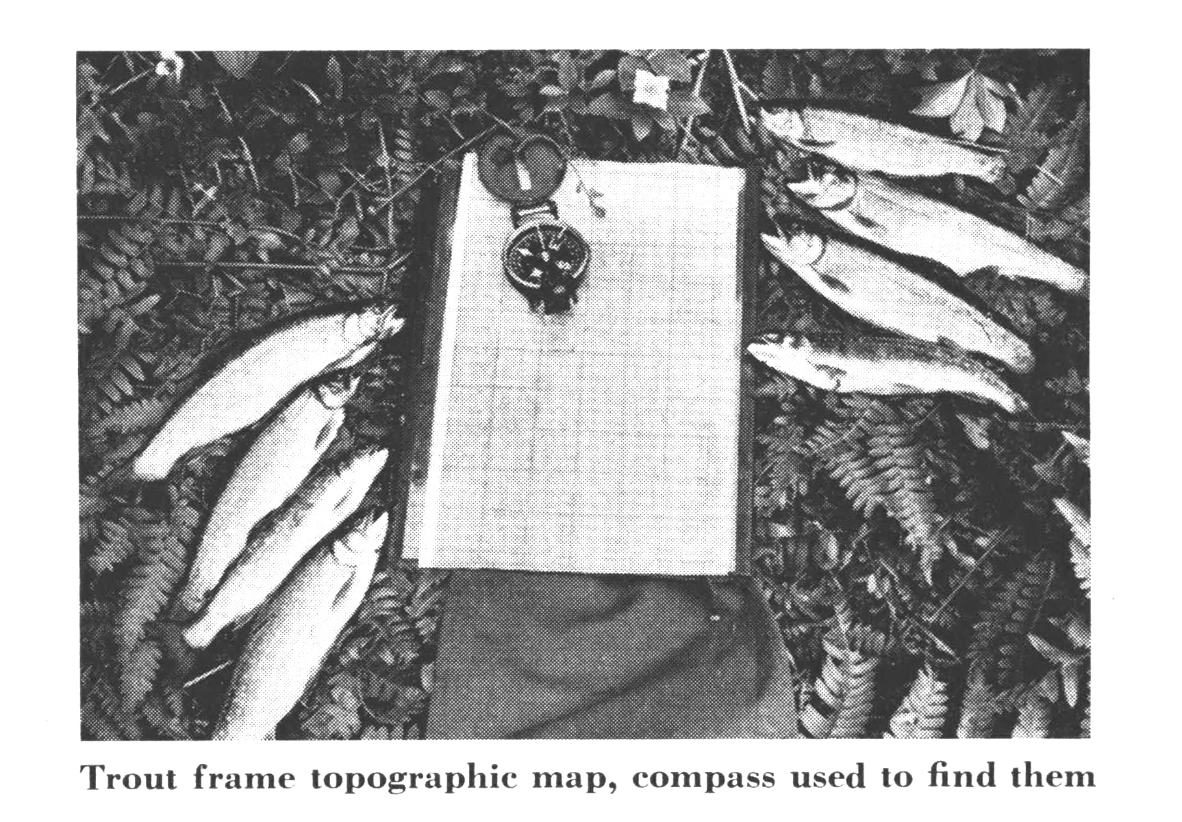 A black and white photo of trout and a topo map