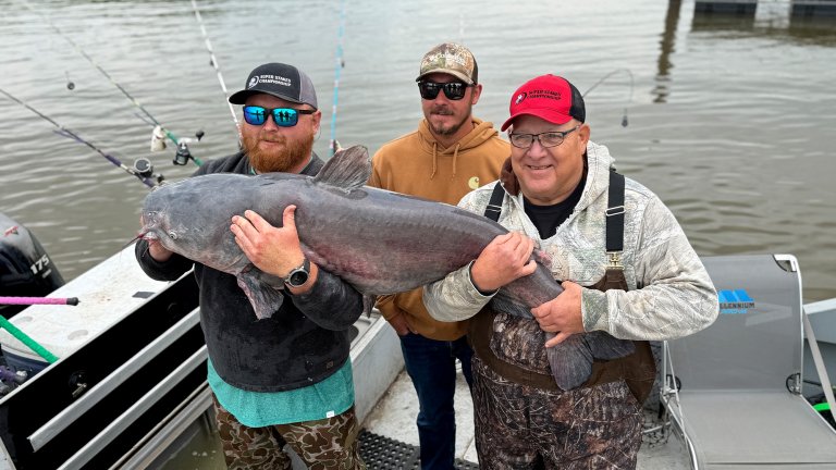 Three anglers hold up a giant blue catfish.