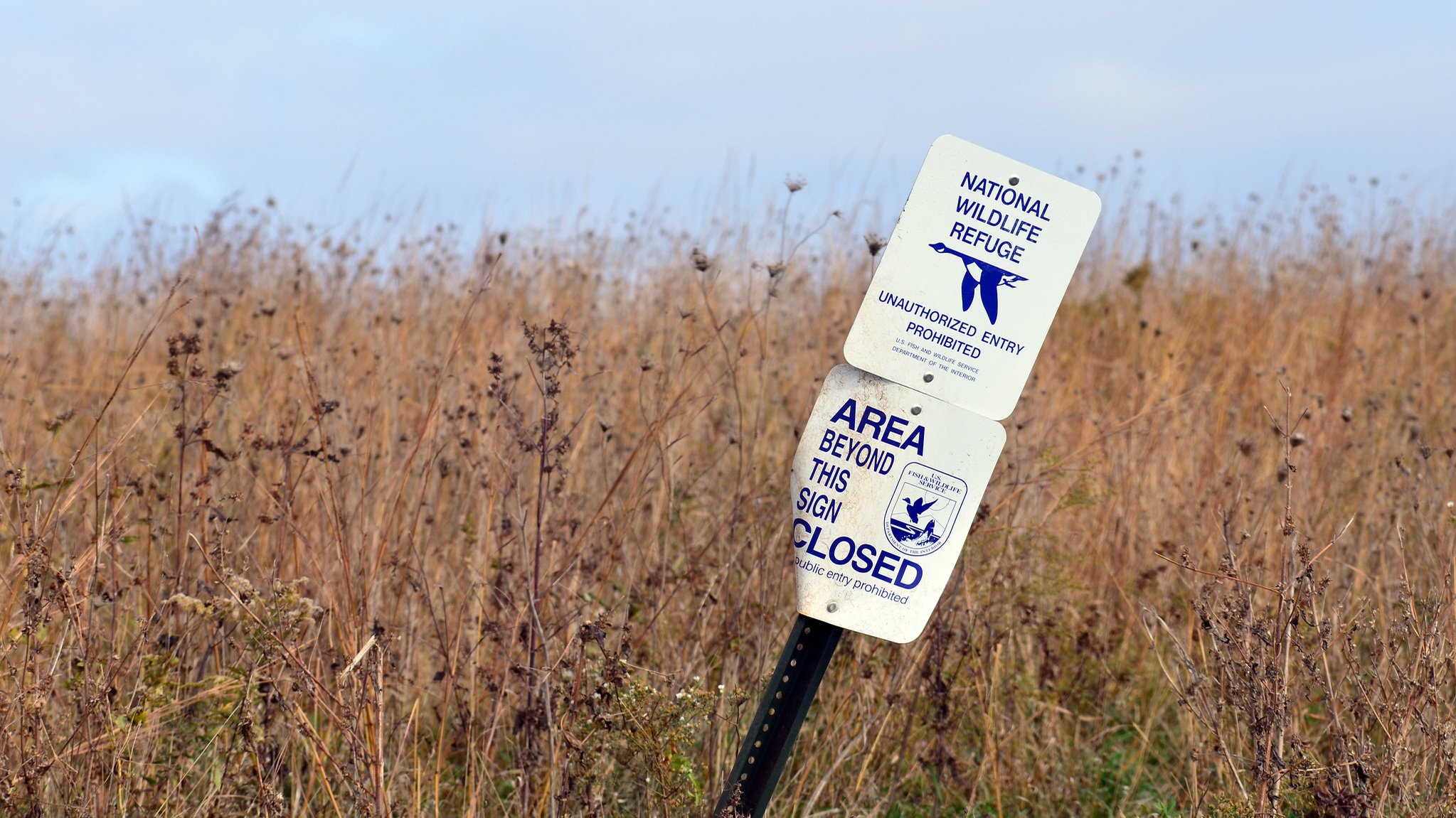 A NWR sign tilting in front of an area closed