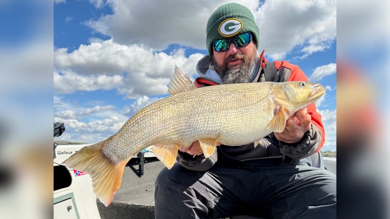 An angler with a big pikeminnow in Washington.