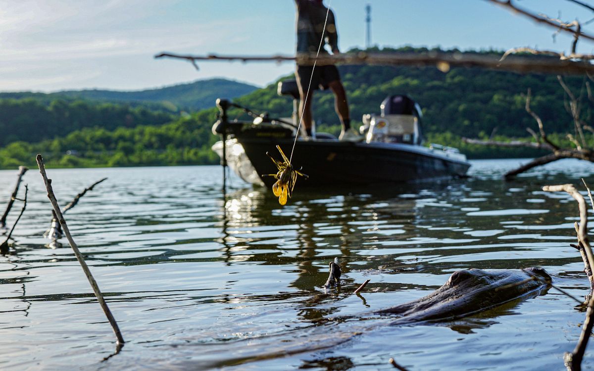 The author casts a jig into a laydown from a boat