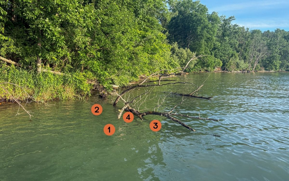 A laydown with numbers on the photo of where to cast in order