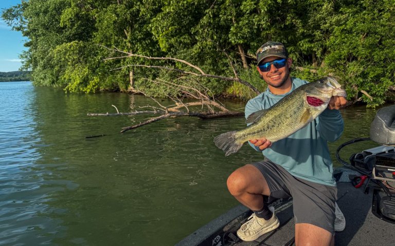 The author holds a largemouth bass caught in a laydown