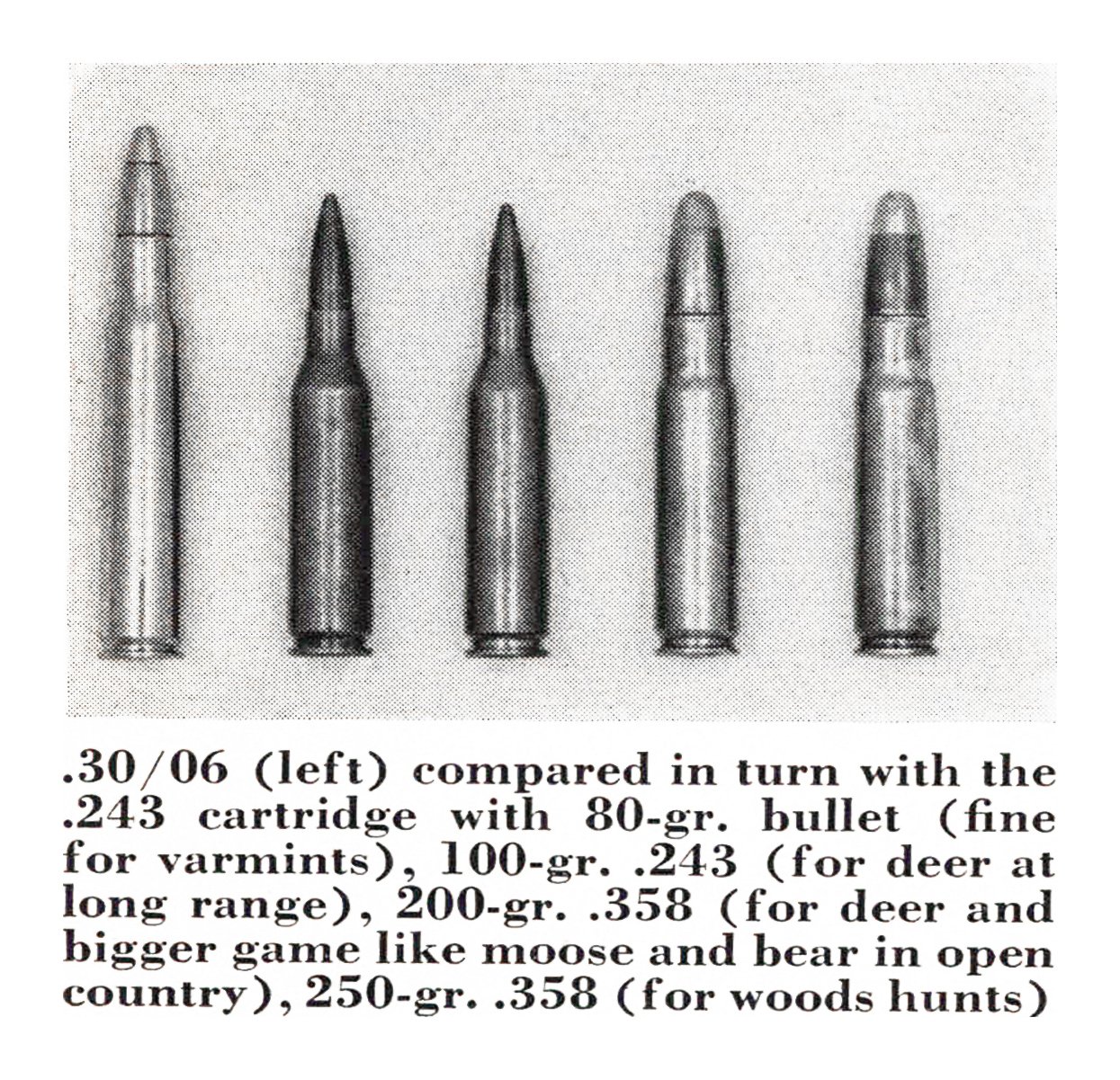A black and white photo of rifle cartridges