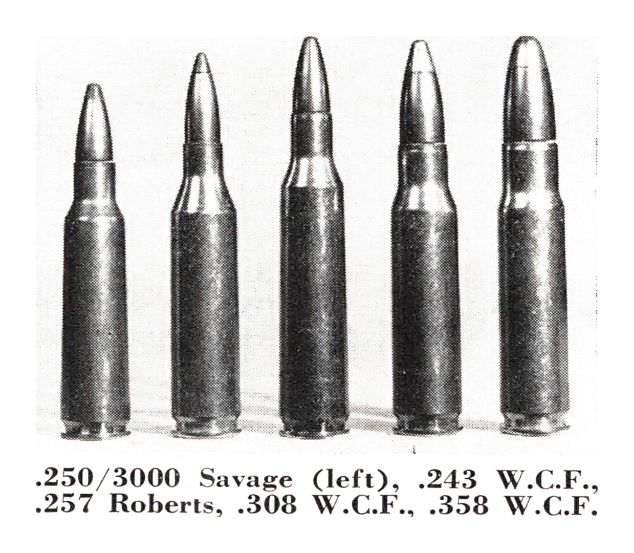 a black and white photo of rifle cartridges in a row.
