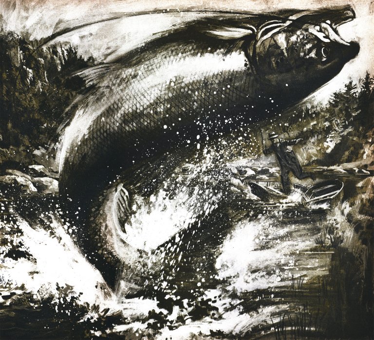A black and white illustration of a jumping salmon