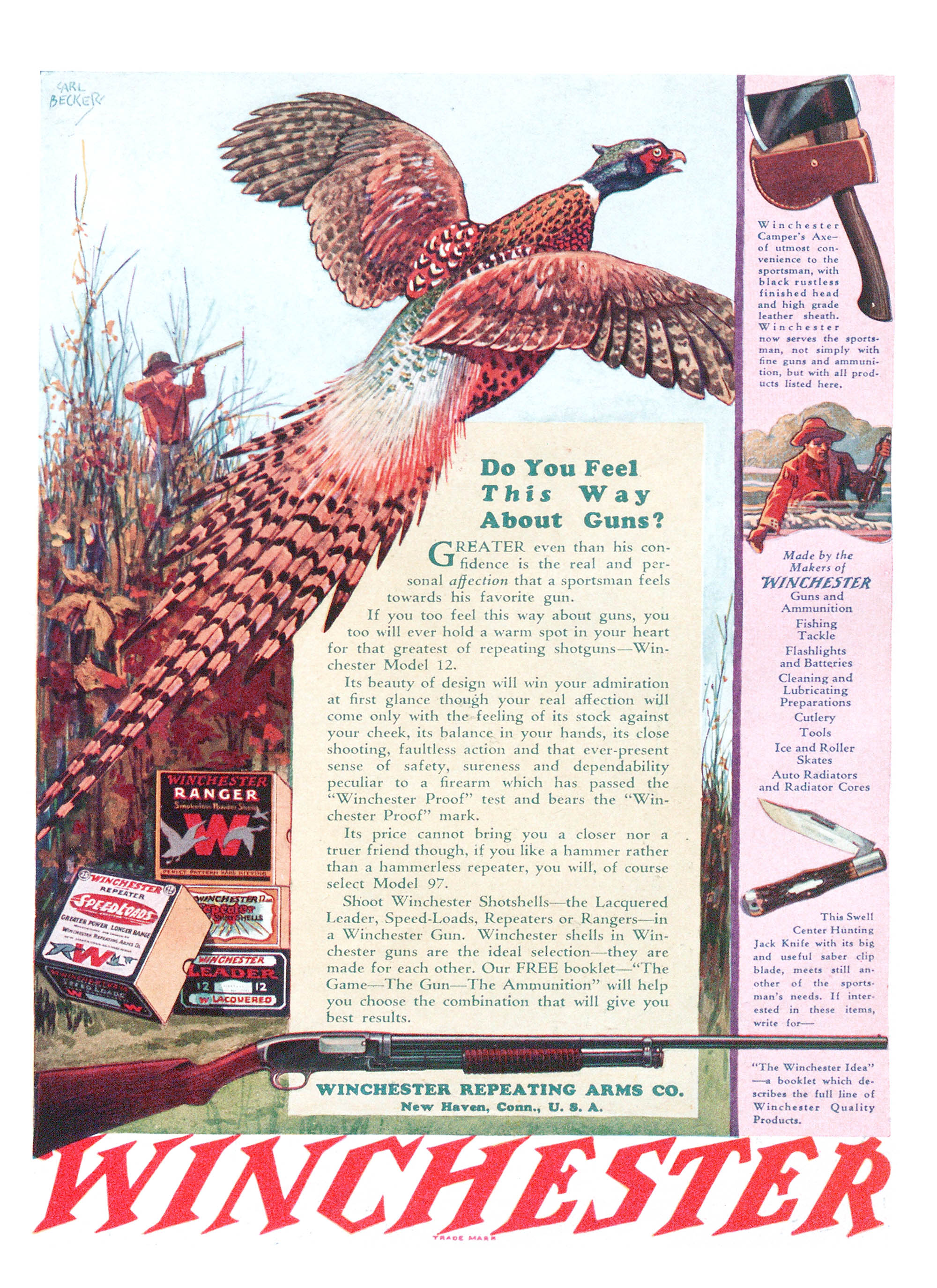 A Winchester Model 12 ad from Outdoor life.