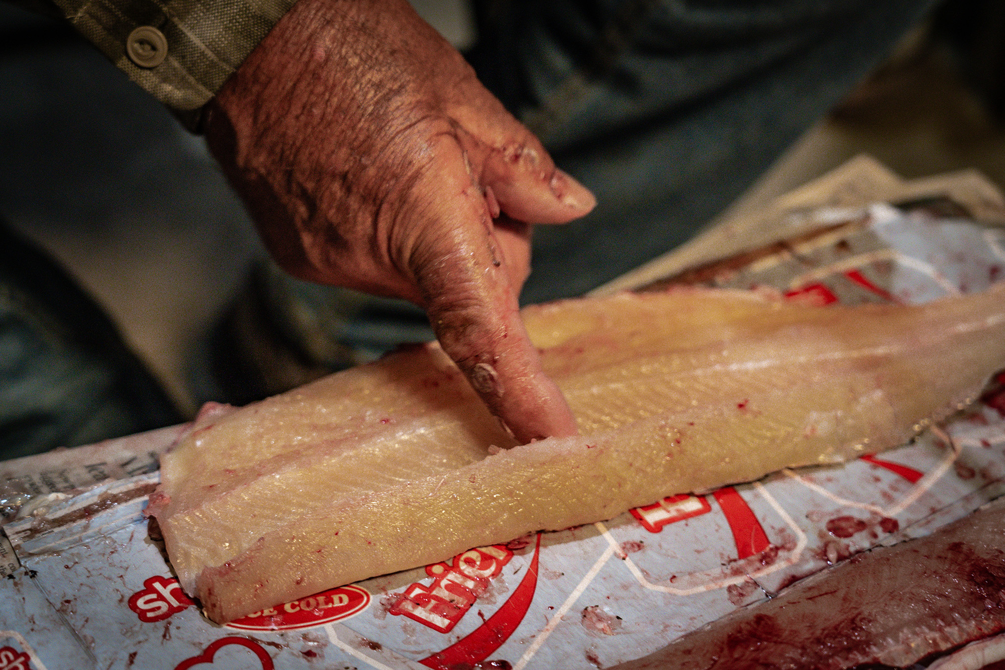 A northern pike fillet with a finger pointing to the removed Y bones.